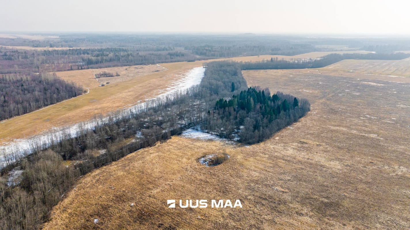 Lääne-Harju vald, Laane küla, Kasemetsa