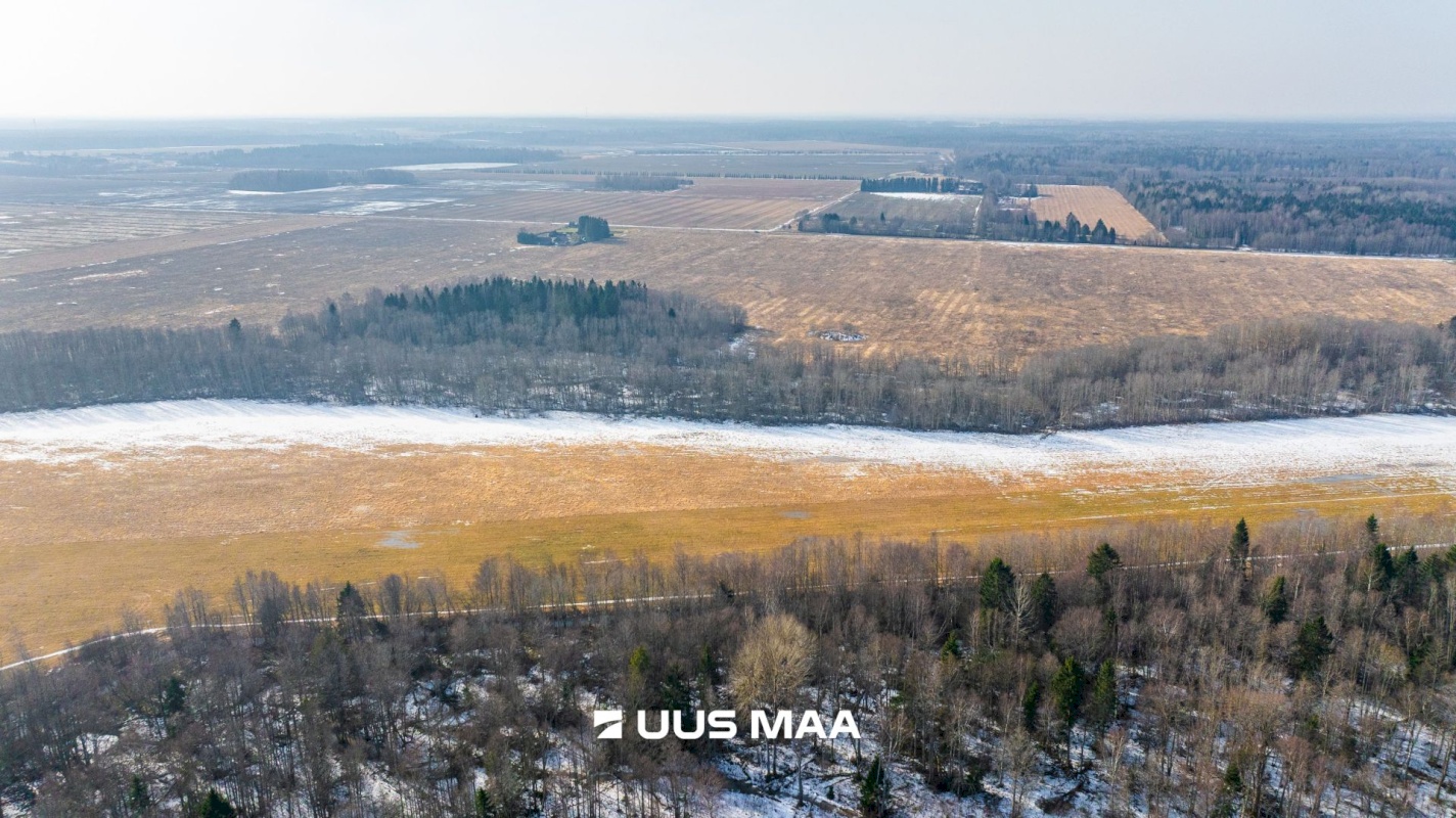 Lääne-Harju vald, Laane küla, Kasemetsa