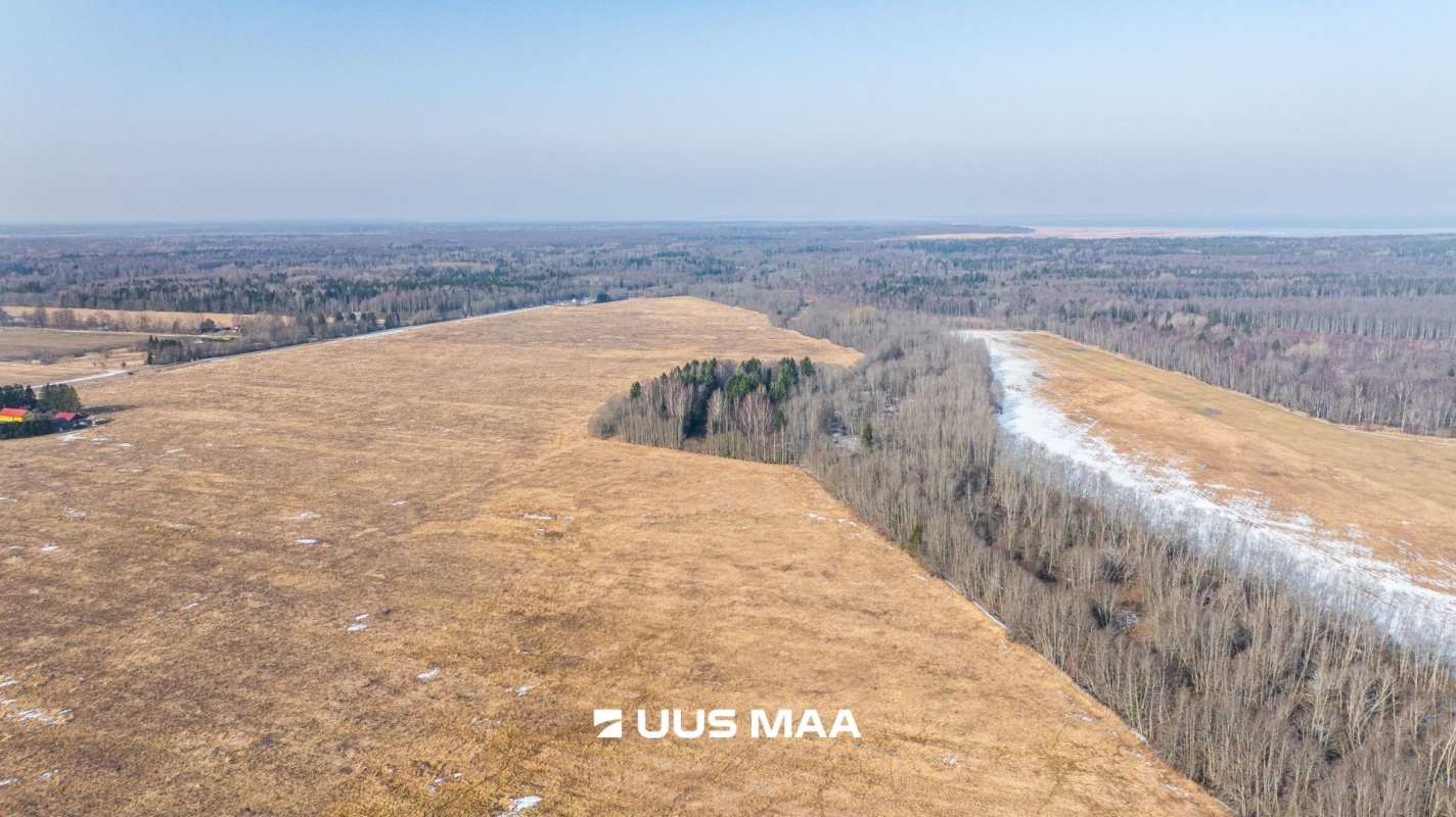 Lääne-Harju vald, Laane küla, Kasemetsa