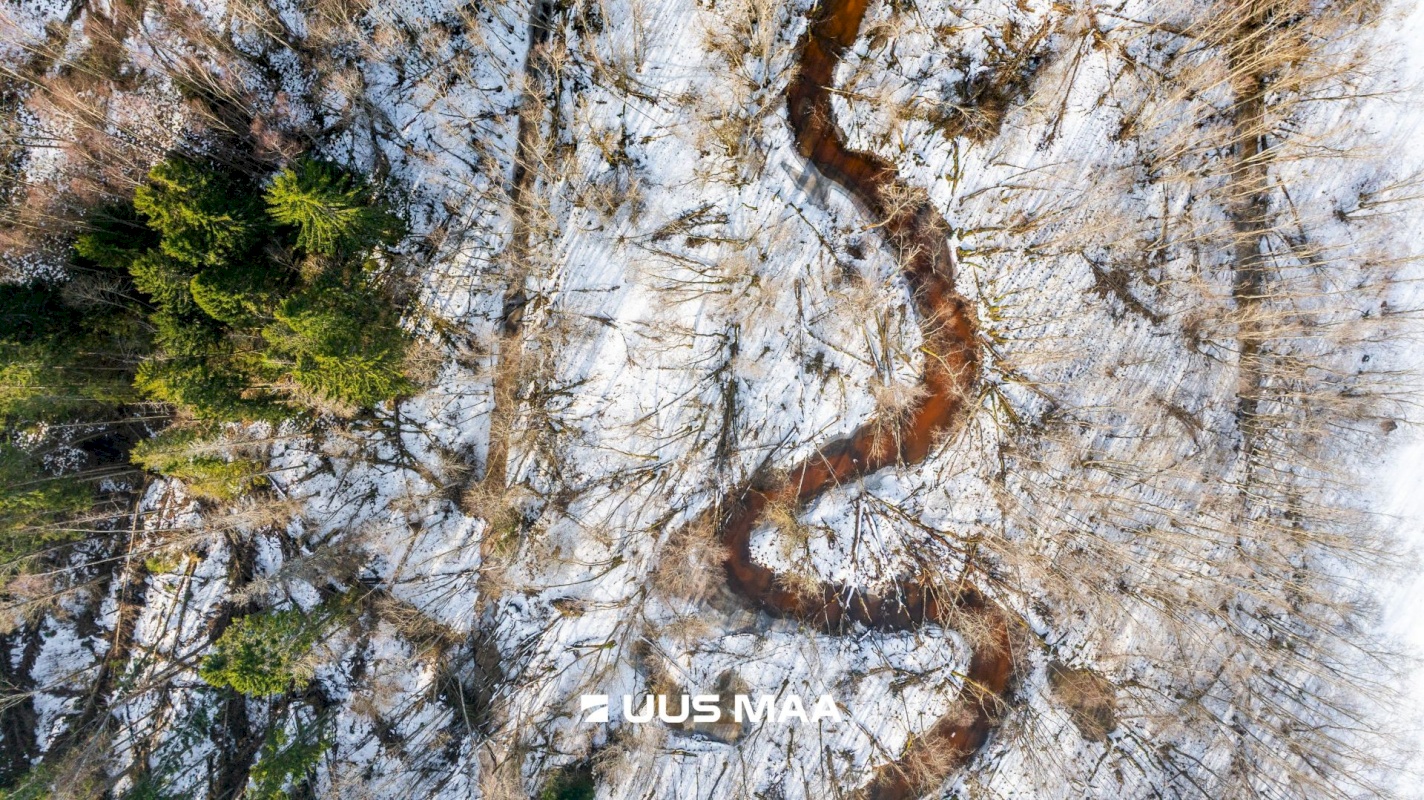 Lääne-Harju vald, Laane küla, Kasemetsa