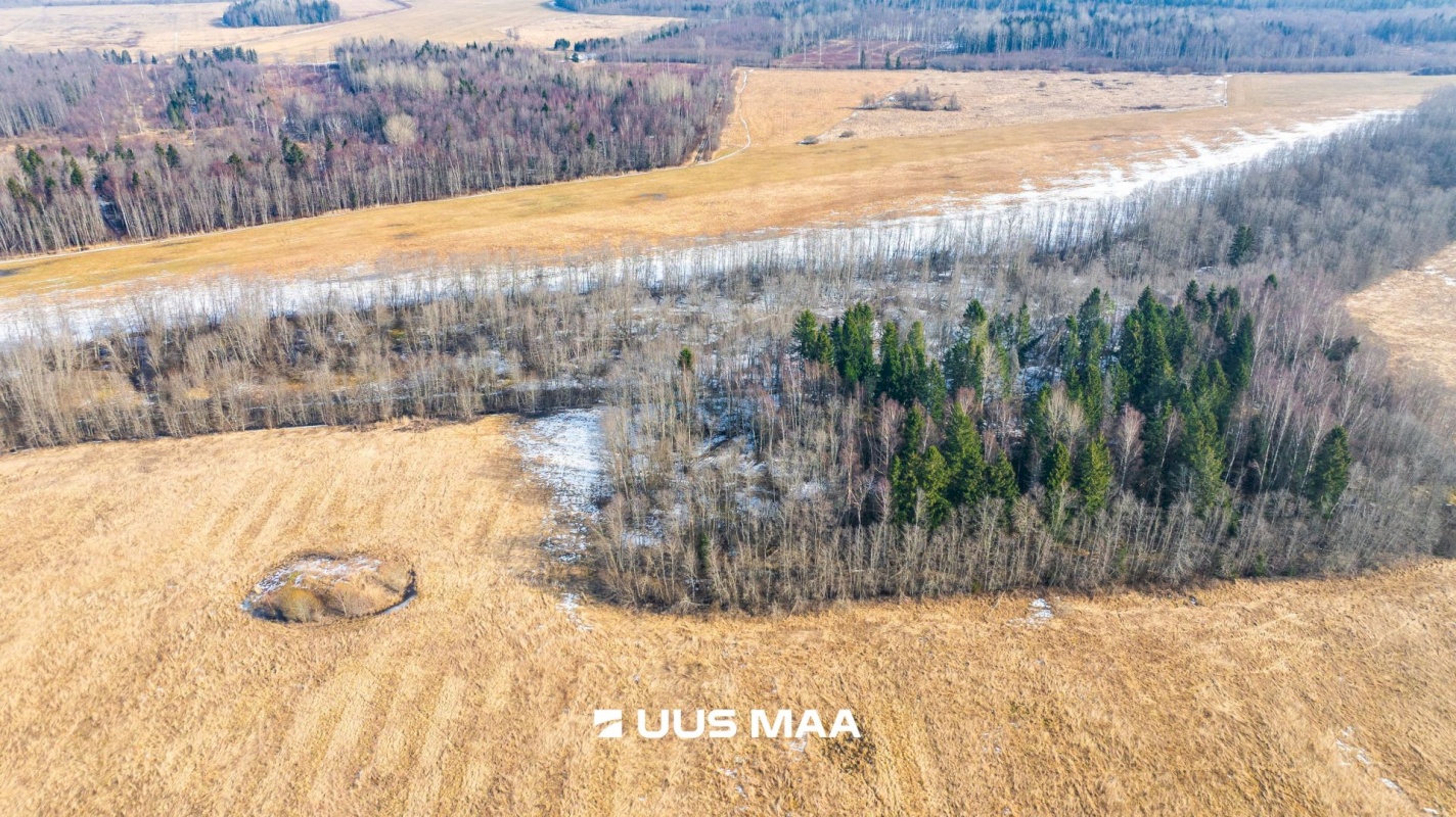 Lääne-Harju vald, Laane küla, Kasemetsa