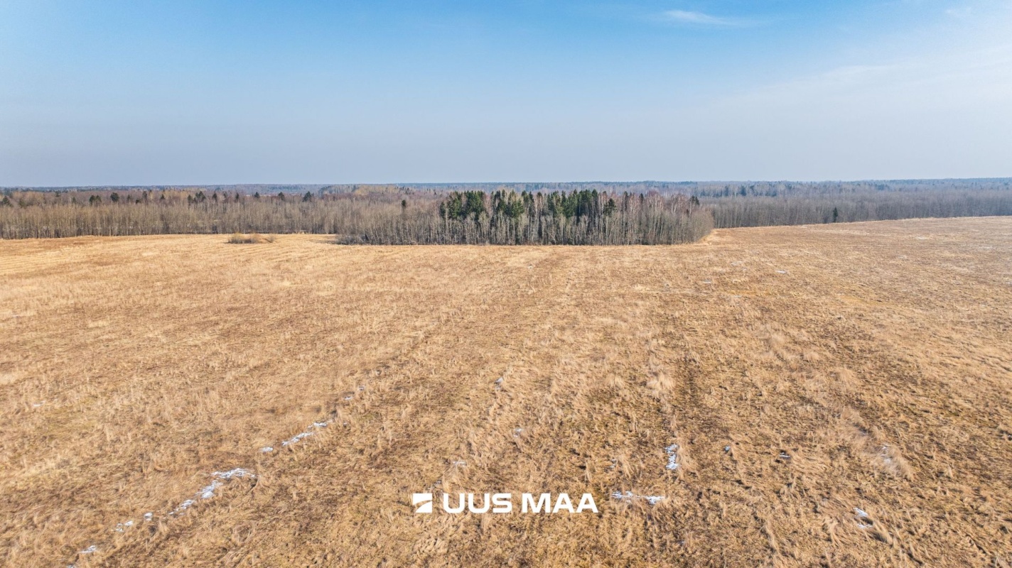 Lääne-Harju vald, Laane küla, Kasemetsa