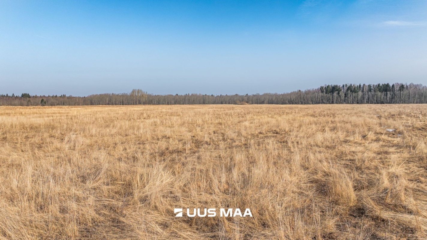 Lääne-Harju vald, Laane küla, Kasemetsa