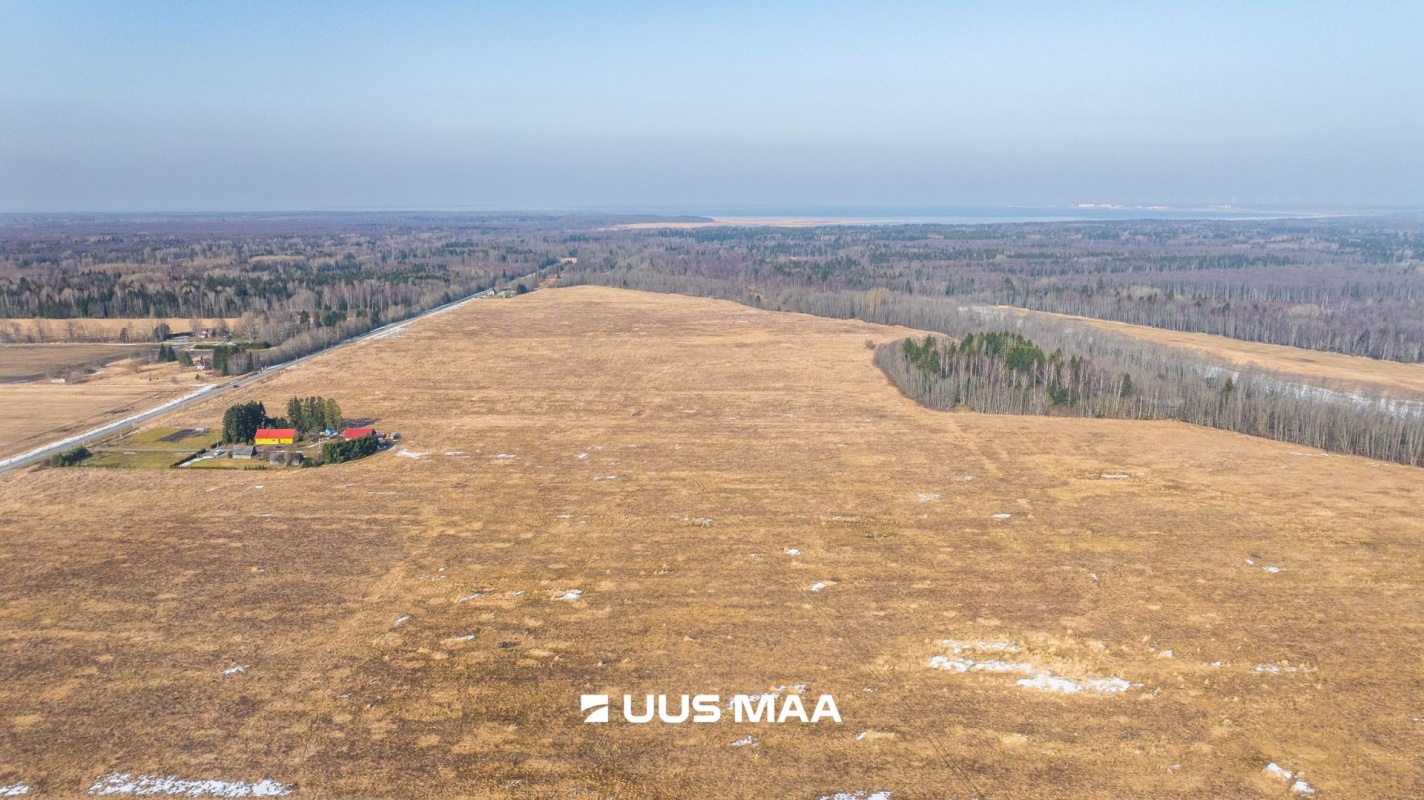 Lääne-Harju vald, Laane küla, Kasemetsa