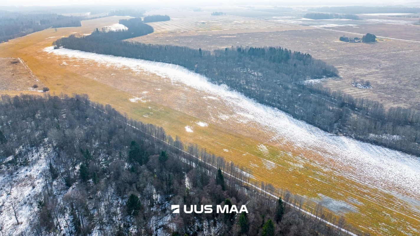 Lääne-Harju vald, Laane küla, Kasemetsa