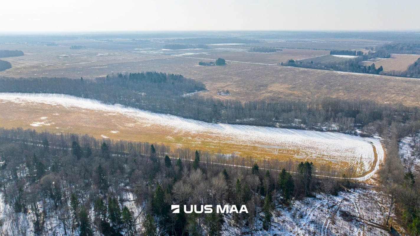 Lääne-Harju vald, Laane küla, Kasemetsa