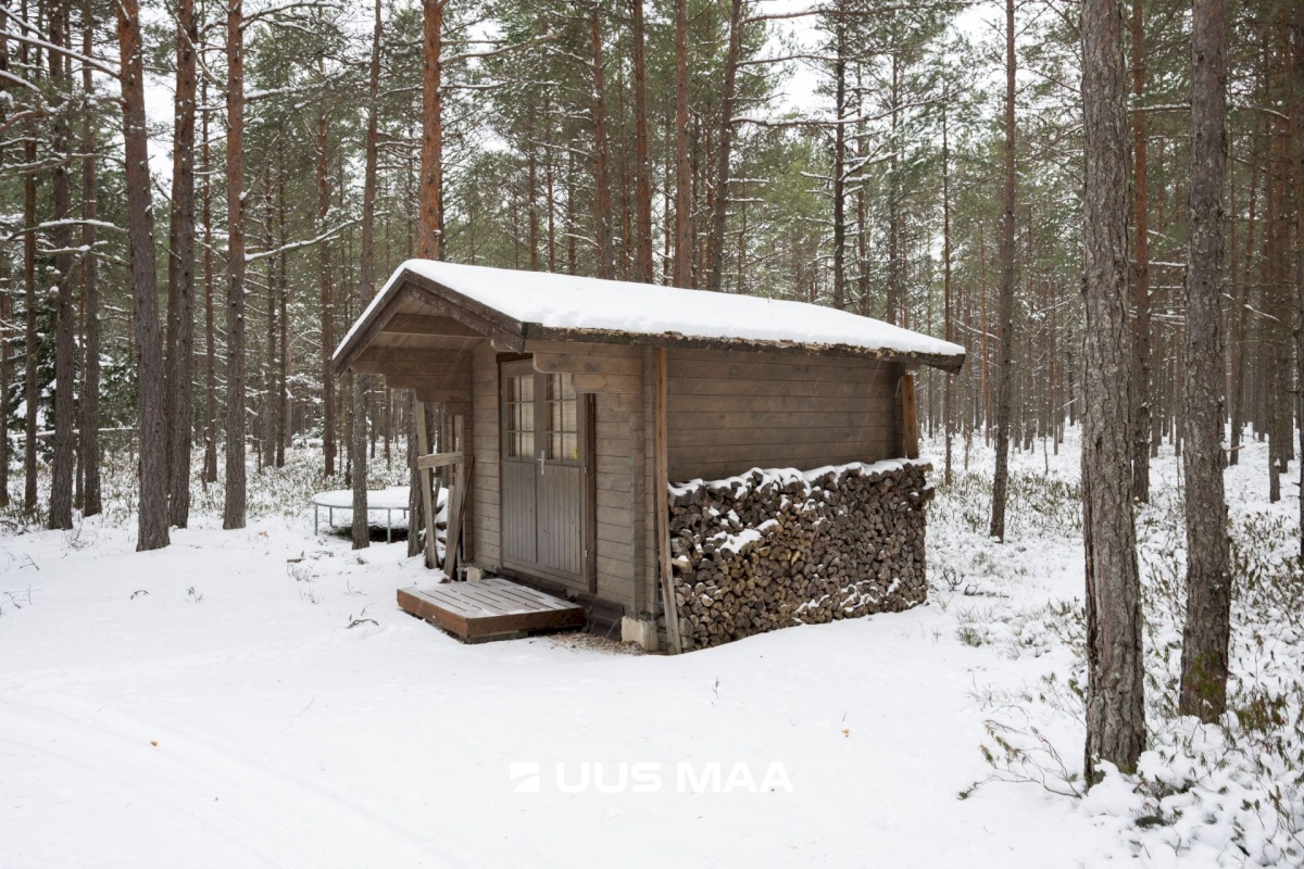 Lääne-Nigula vald, Elbiku küla/Ölbäck, Roosta tee Johanna