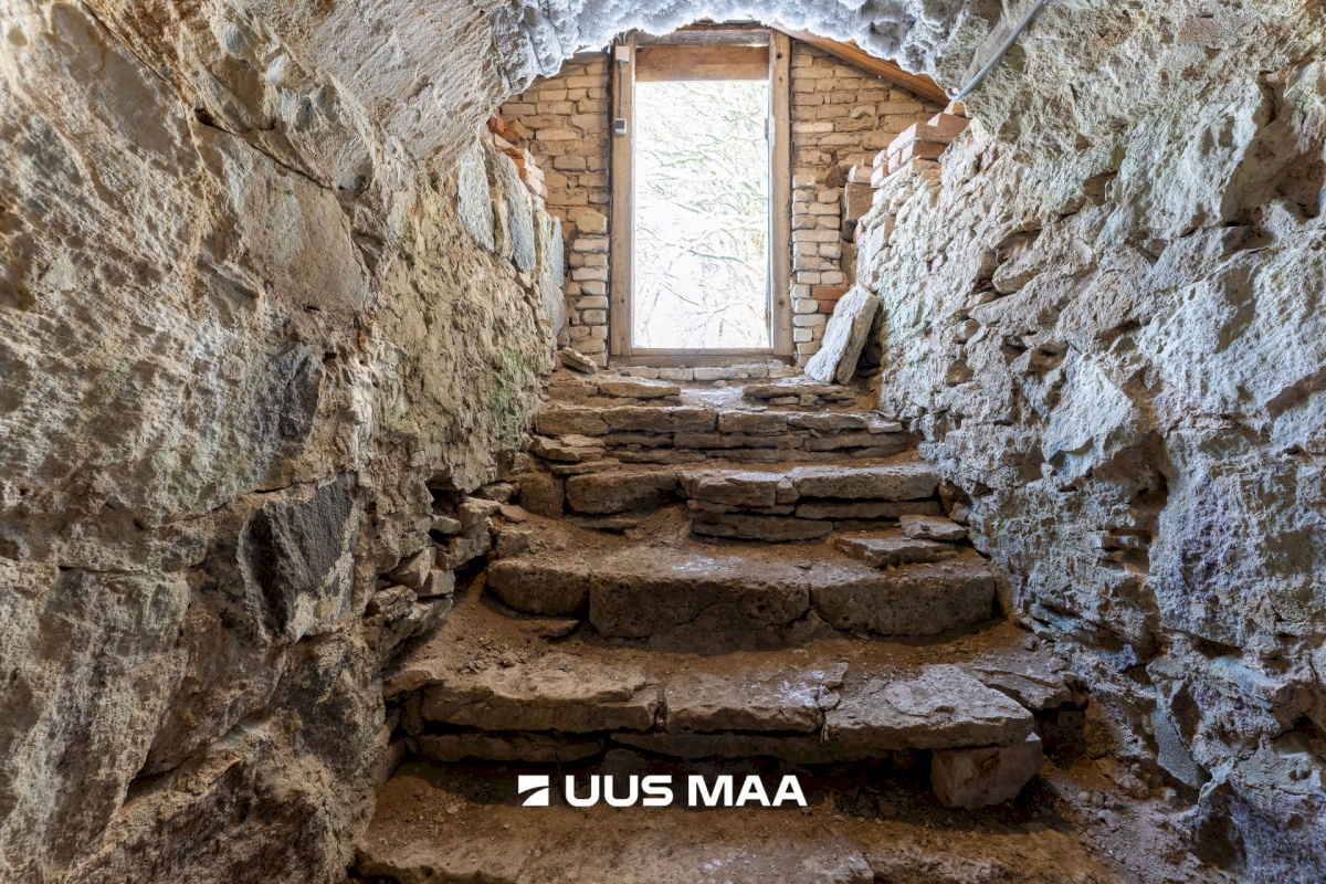 Tapa vald, Karkuse küla, Mõisaõue