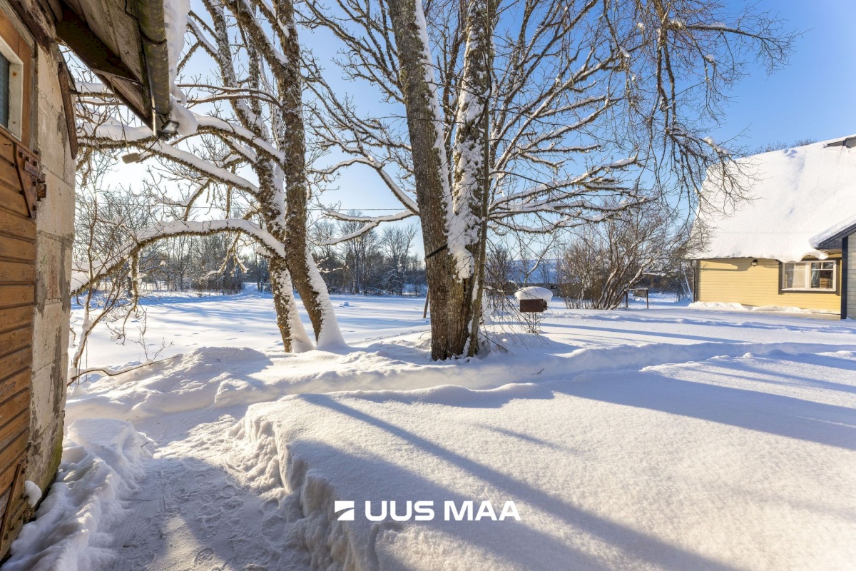 Tapa vald, Karkuse küla, Mõisaõue