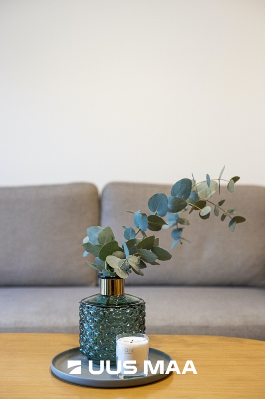 Tallinn, Kesklinna linnaosa, Võistluse 1