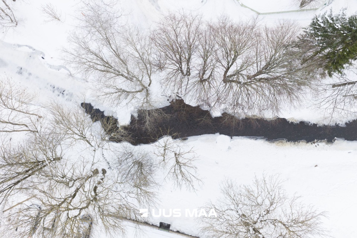 Saku vald, Saku alevik, Kannikese 6