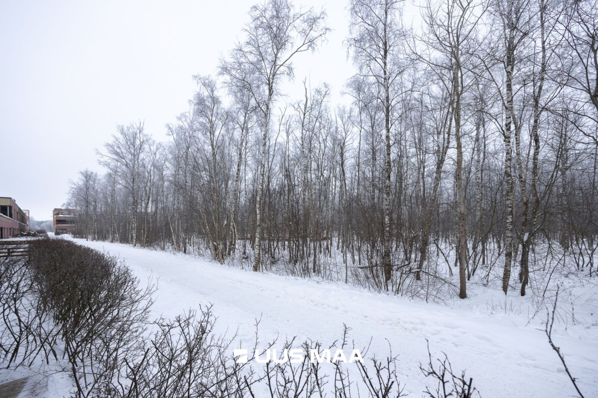 Rae vald, Peetri alevik, Aruheina tee 5