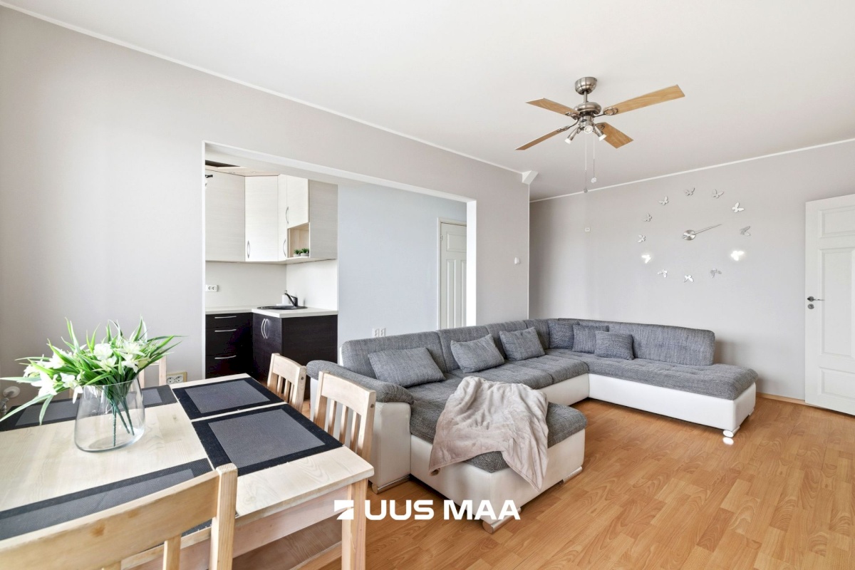 Saue vald, Saue linn, Koondise 11