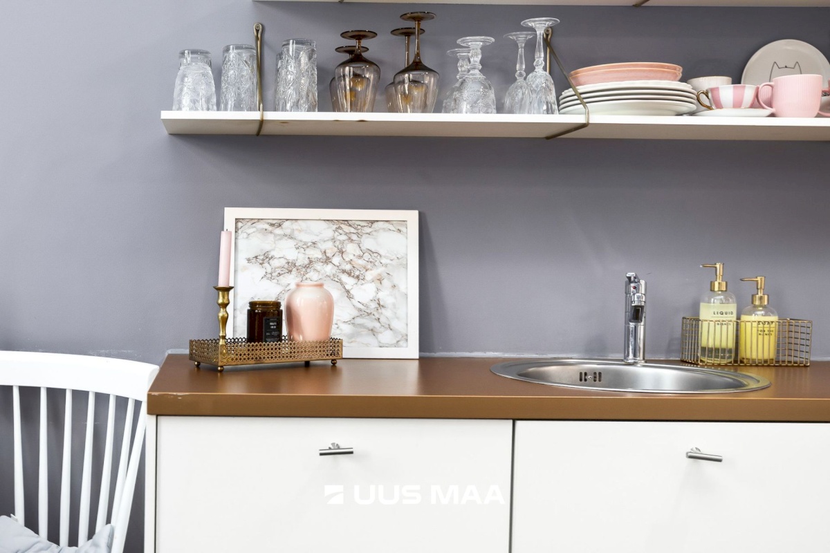 Tallinn, Põhja-Tallinna linnaosa, Erika 15