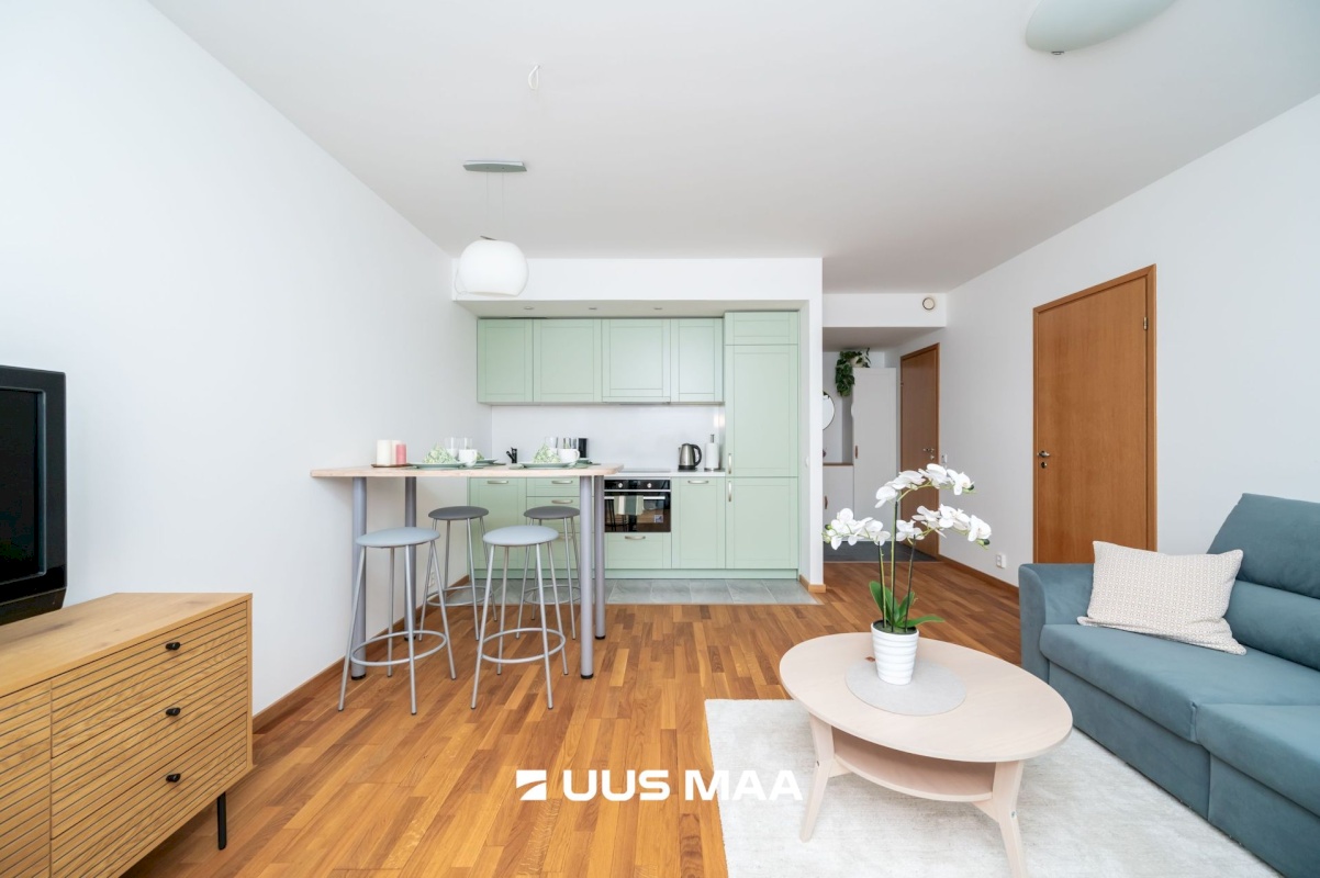 Tallinn, Kesklinna linnaosa, Roosikrantsi 13