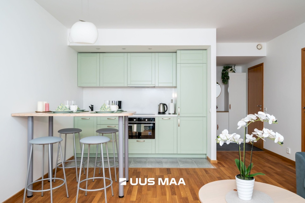 Tallinn, Kesklinna linnaosa, Roosikrantsi 13