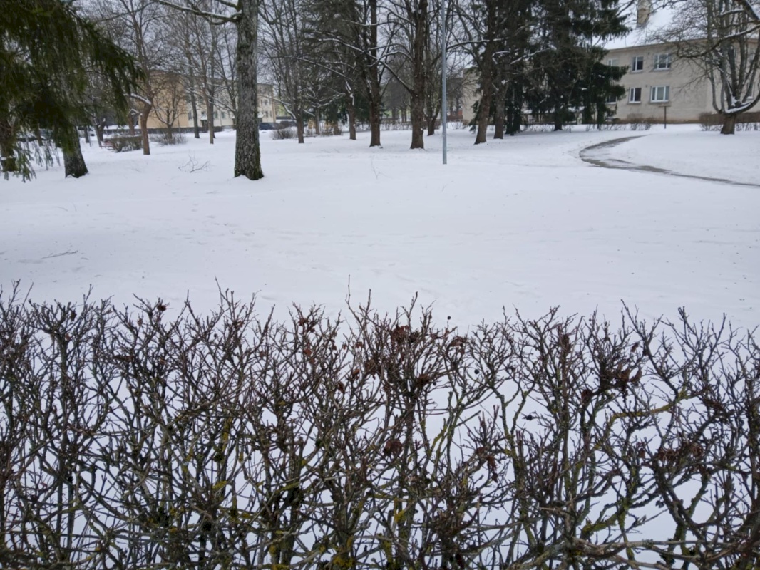 Pärnu linn, Lavassaare alev, Võidu 4