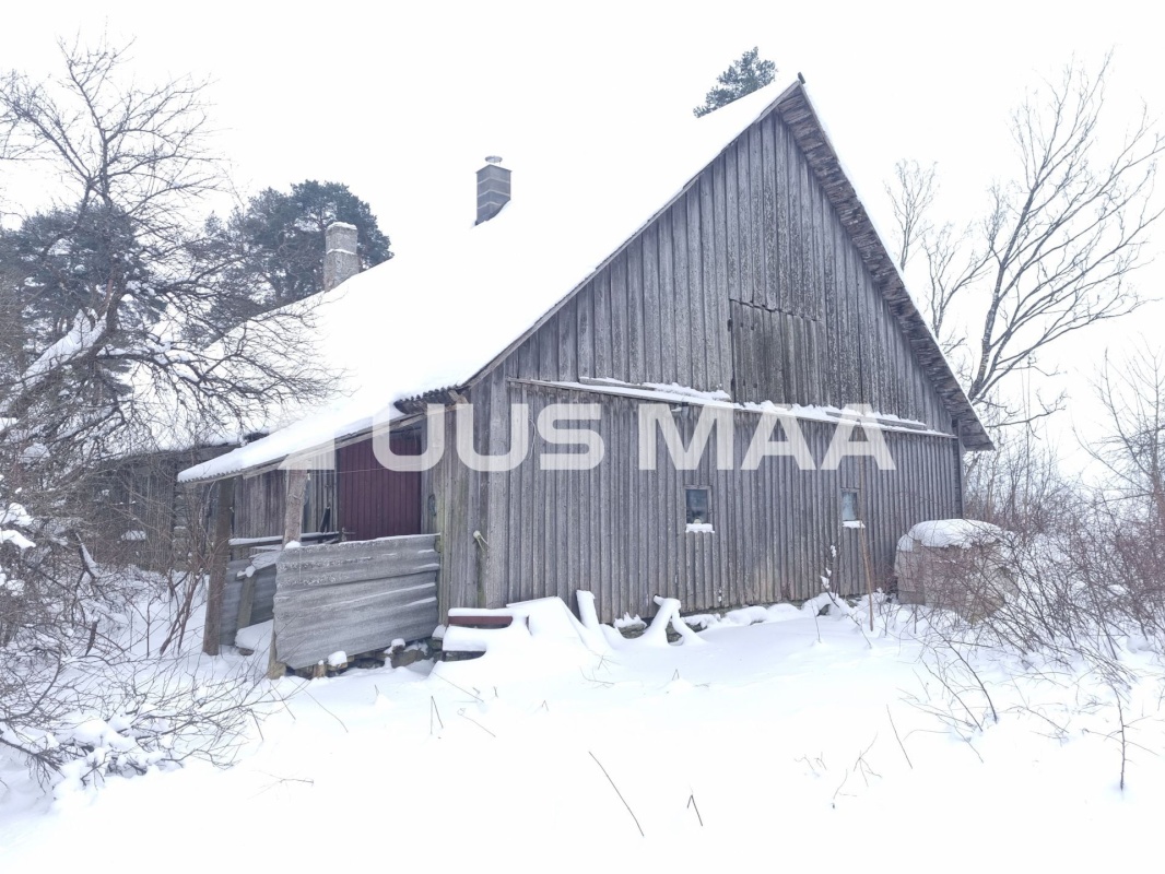 Rakvere vald, Kohala küla