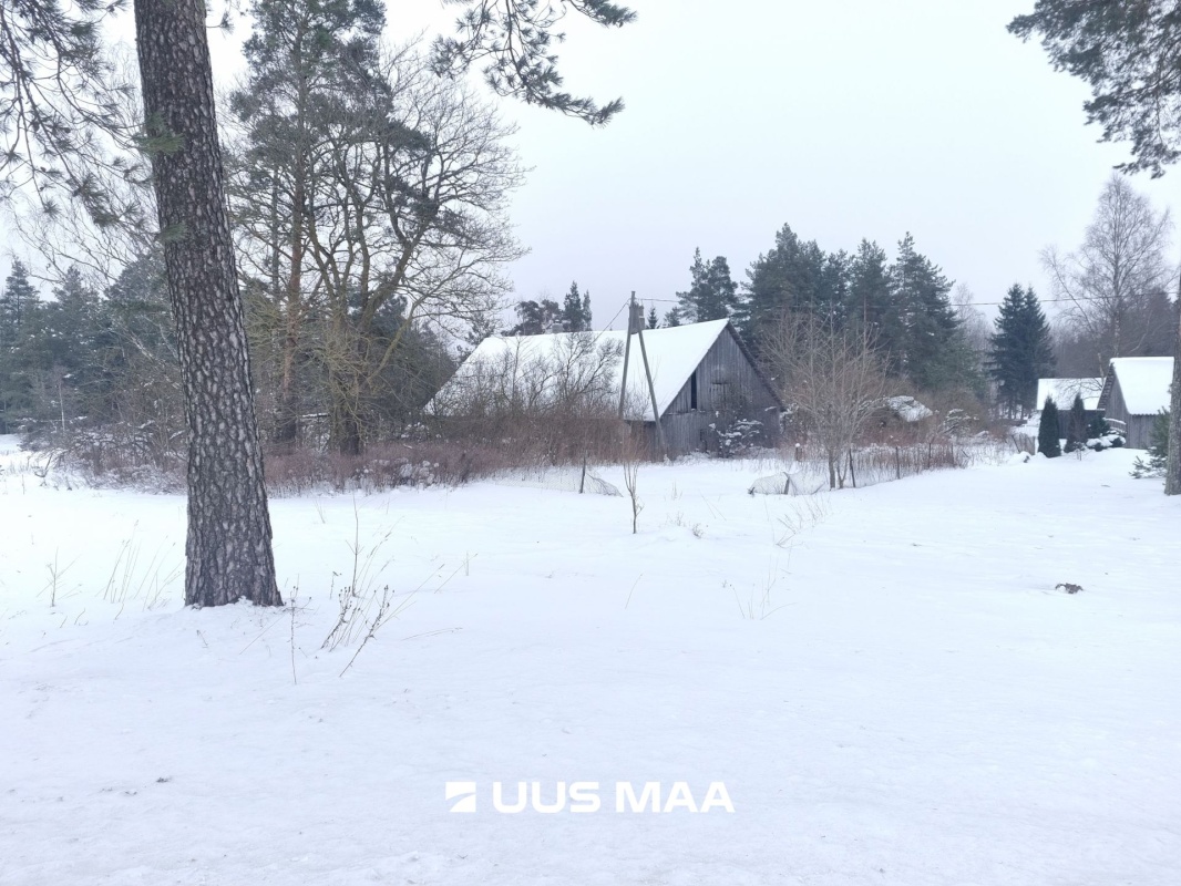 Rakvere vald, Kohala küla