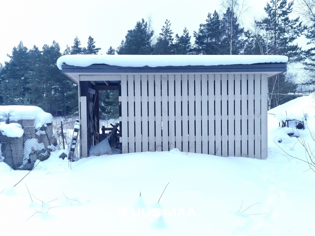 Rakvere vald, Kohala küla