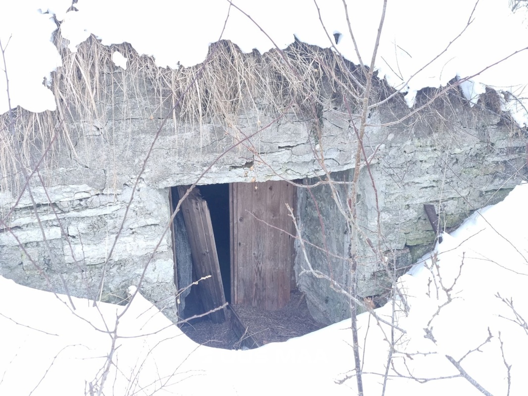 Rakvere vald, Kohala küla