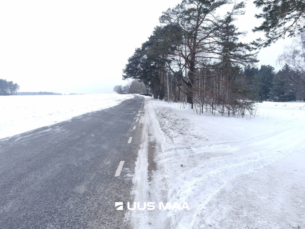 Rakvere vald, Kohala küla