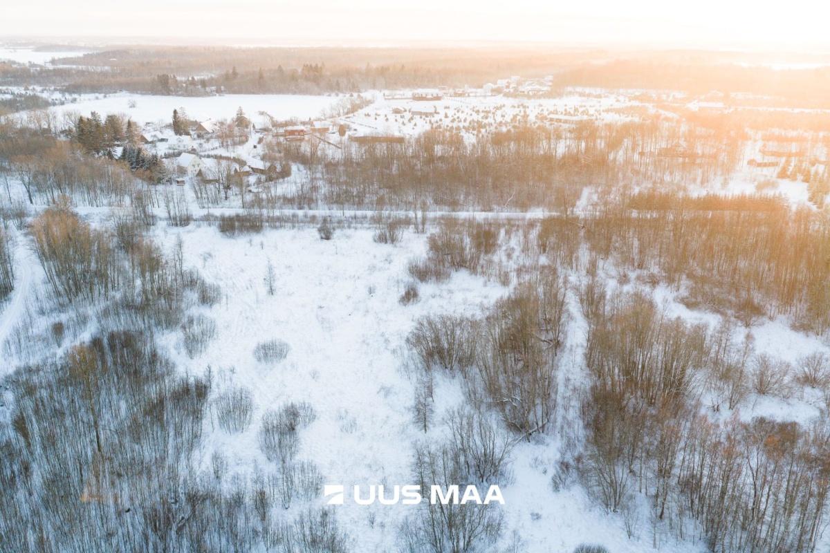 Saue vald, Hüüru küla, Pokula