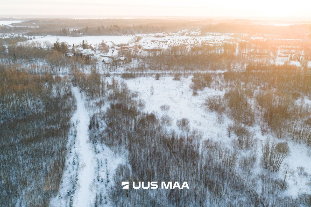 Saue vald, Hüüru küla, Pokula