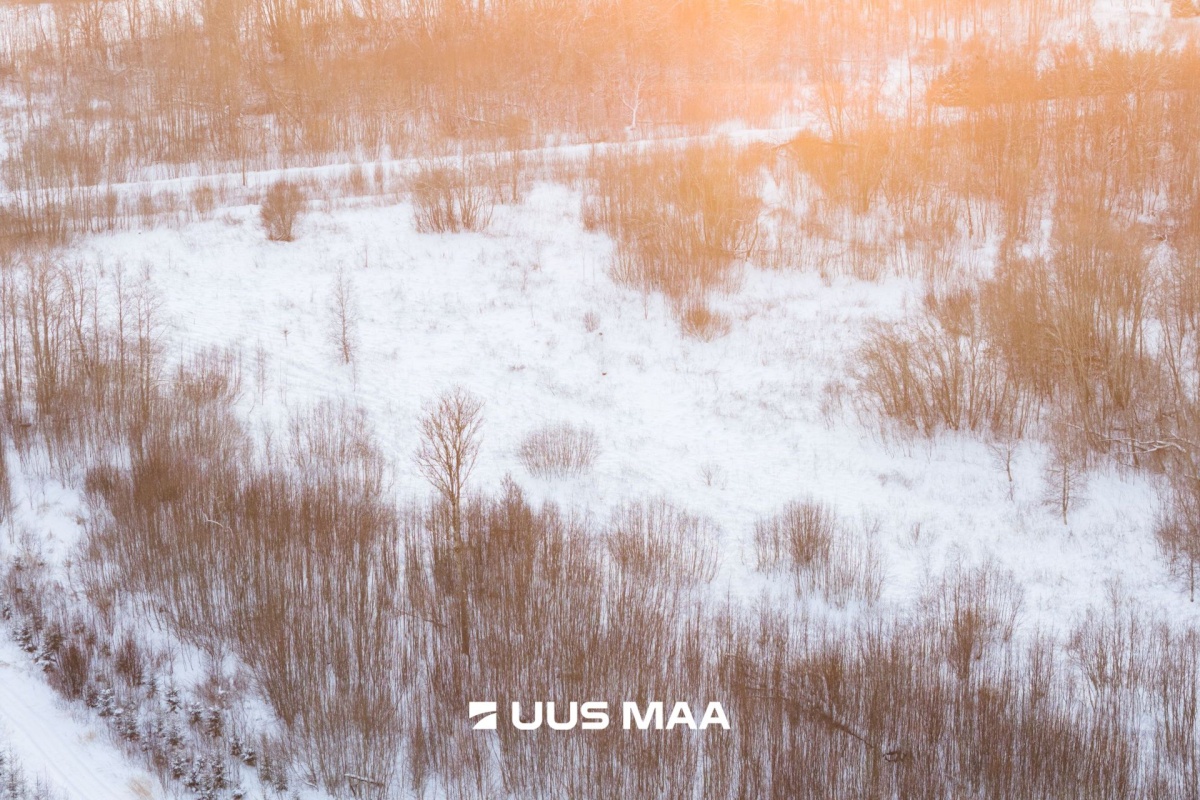 Saue vald, Hüüru küla, Pokula