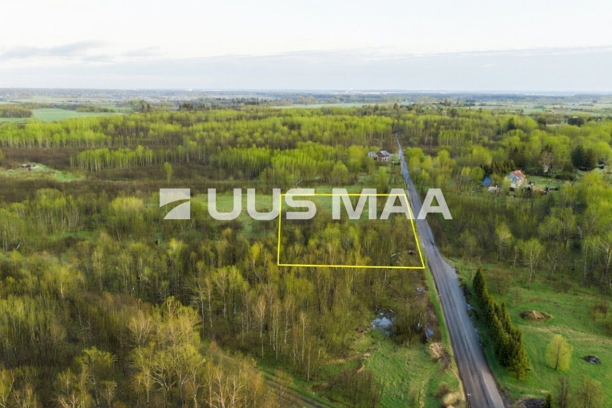 Saue vald, Hüüru küla, Pokula