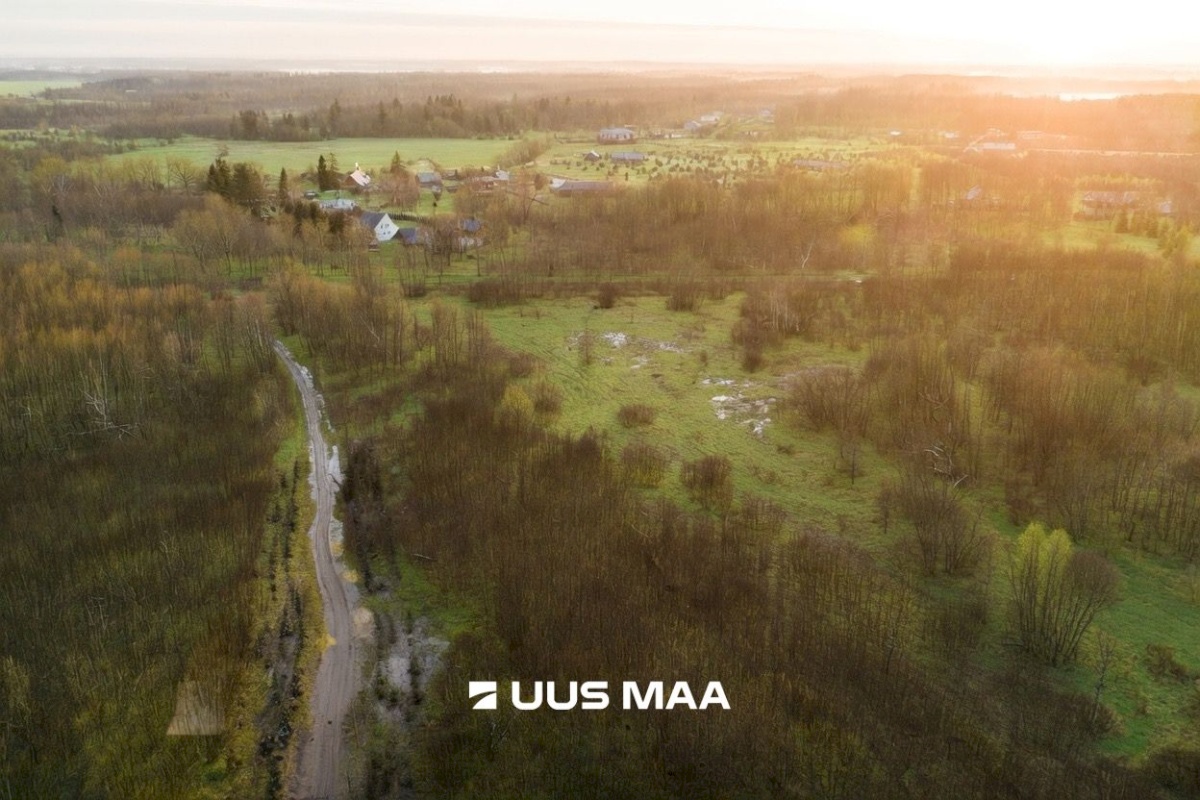 Saue vald, Hüüru küla, Pokula