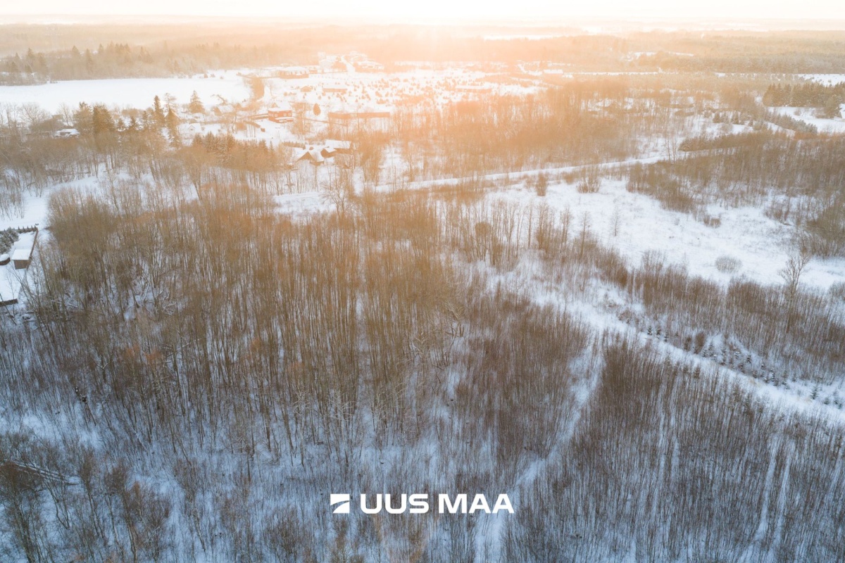 Saue vald, Hüüru küla, Kasesalu