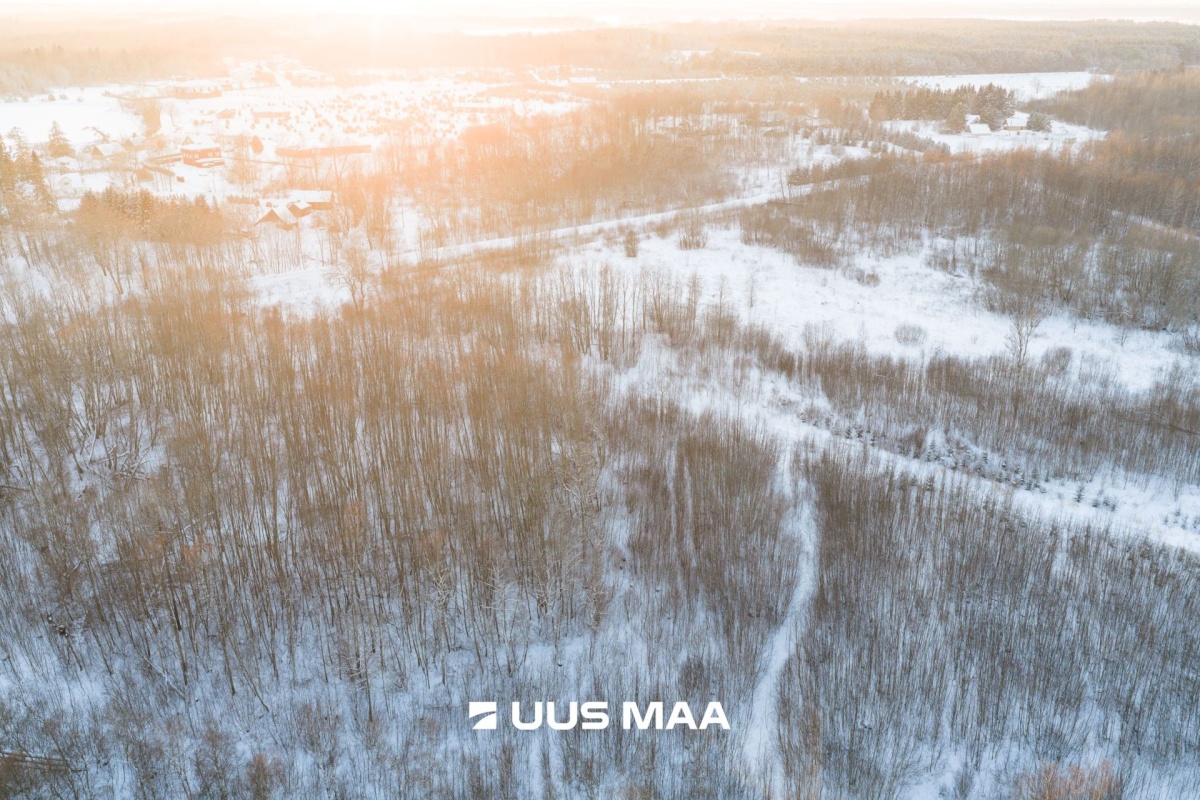 Saue vald, Hüüru küla, Kasesalu