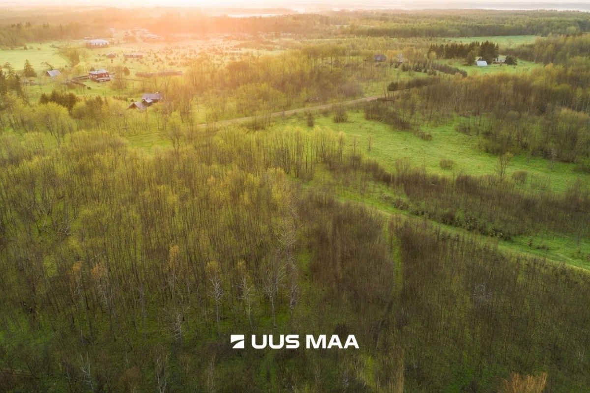 Saue vald, Hüüru küla, Kasesalu