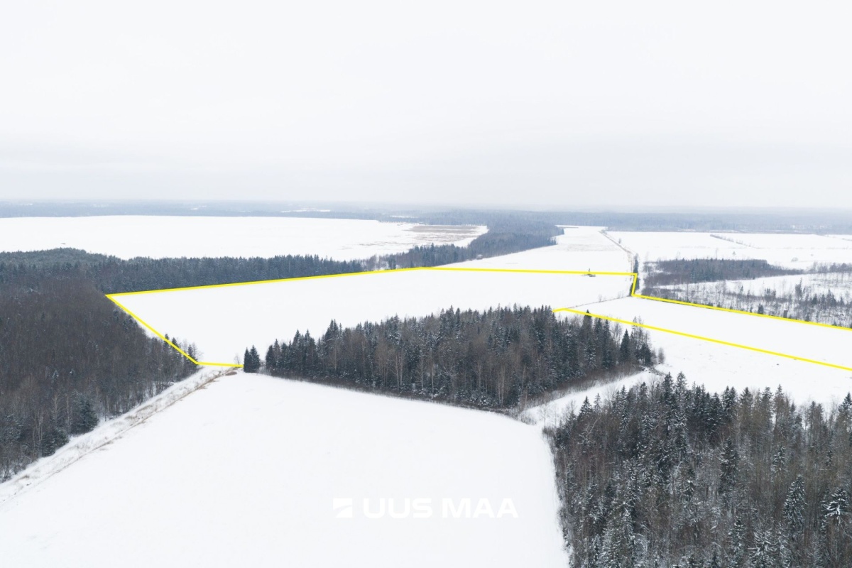 Saue vald, Lehetu küla, Jõetaguse