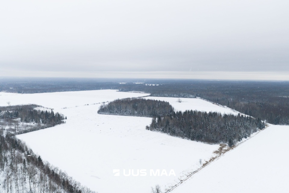 Saue vald, Lehetu küla, Jõetaguse