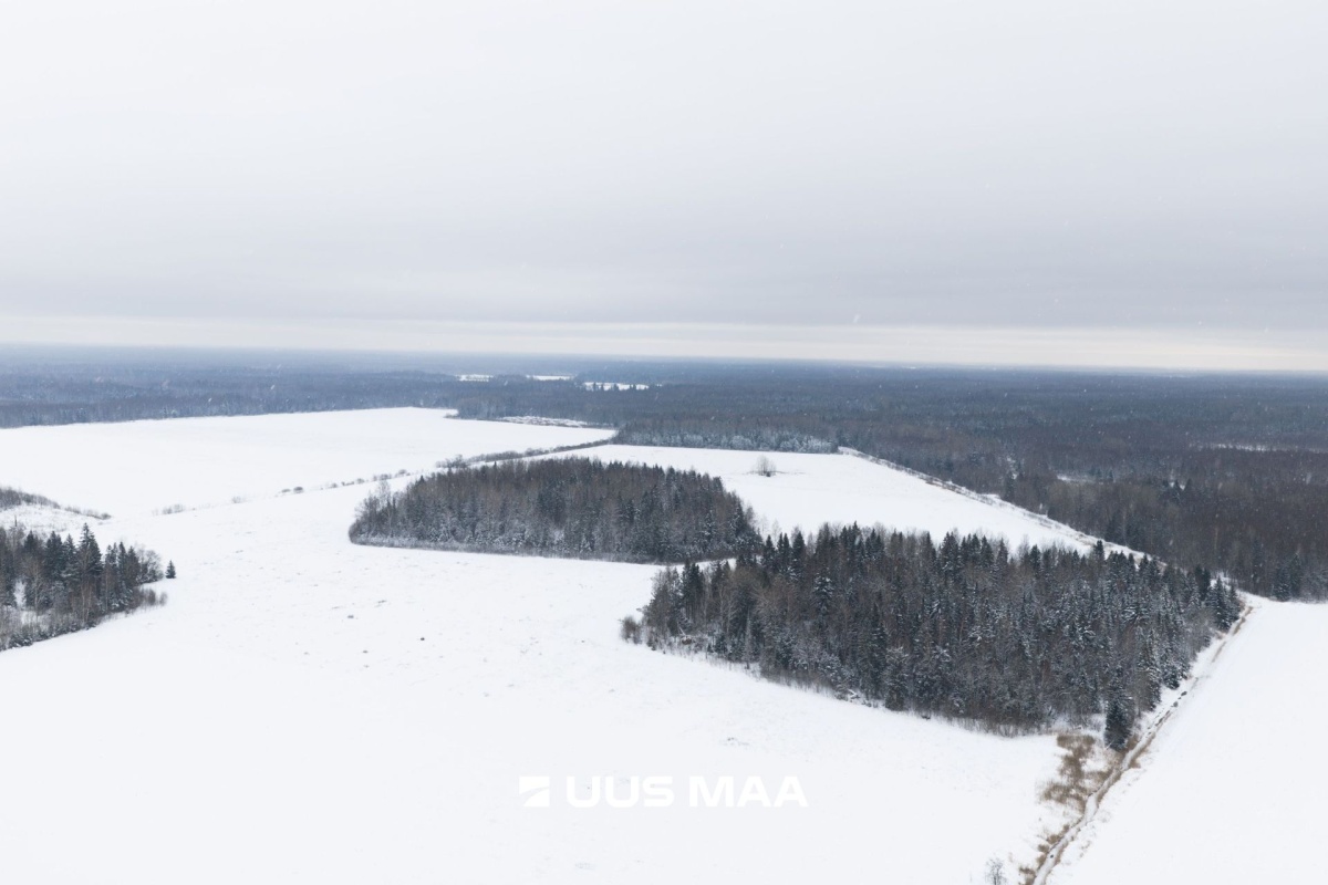 Saue vald, Lehetu küla, Jõetaguse