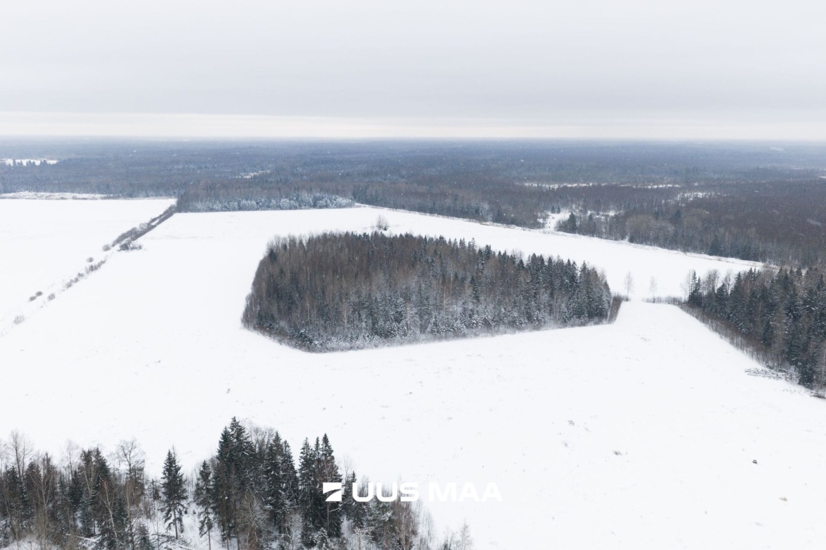 Saue vald, Lehetu küla, Jõetaguse