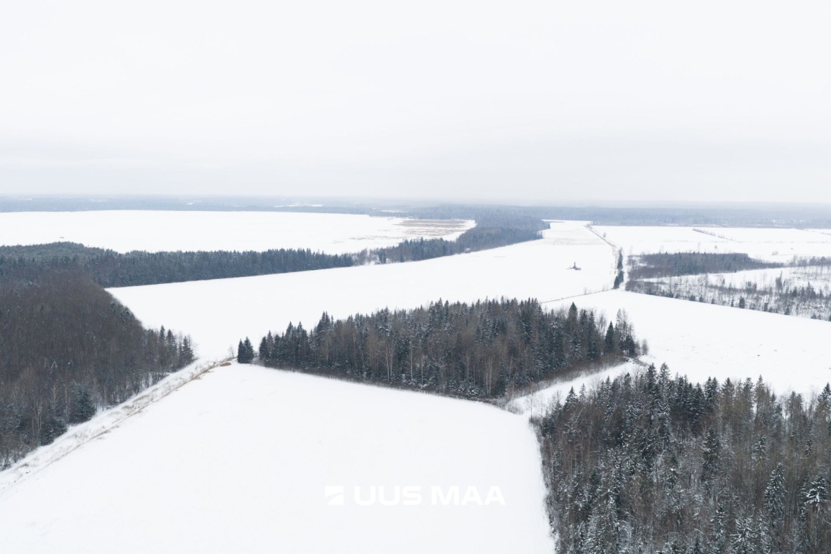 Saue vald, Lehetu küla, Jõetaguse