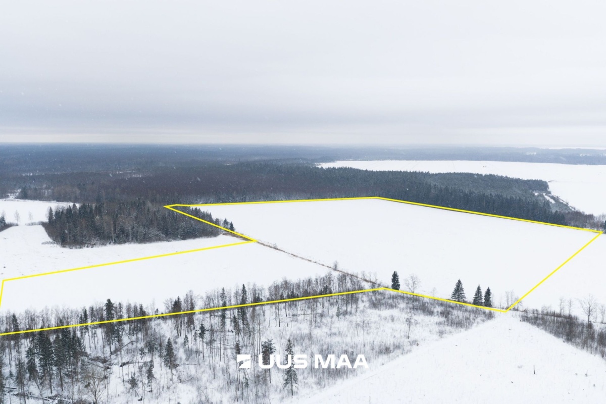 Saue vald, Lehetu küla, Jõetaguse