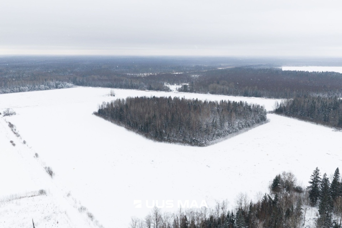 Saue vald, Lehetu küla, Jõetaguse