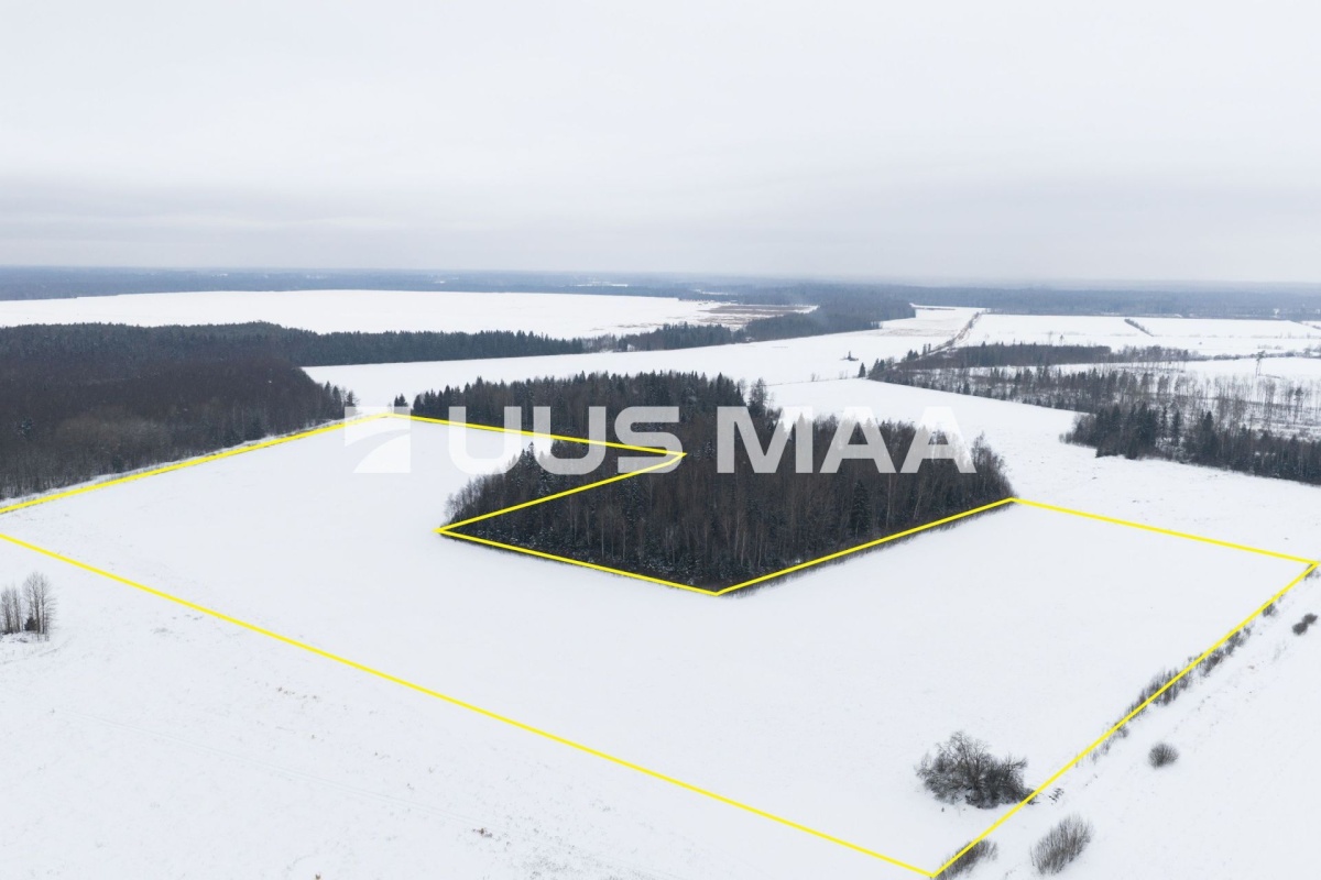 Saue vald, Lehetu küla, Kaliste