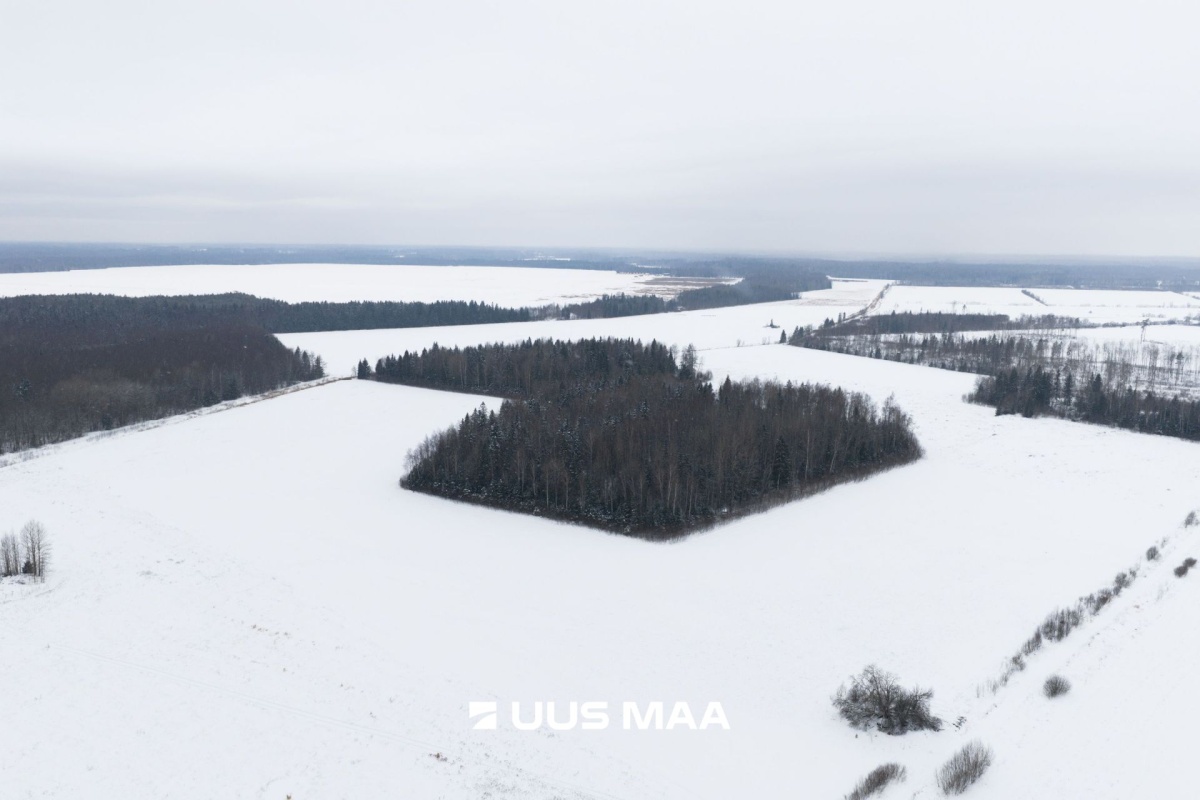 Saue vald, Lehetu küla, Kaliste