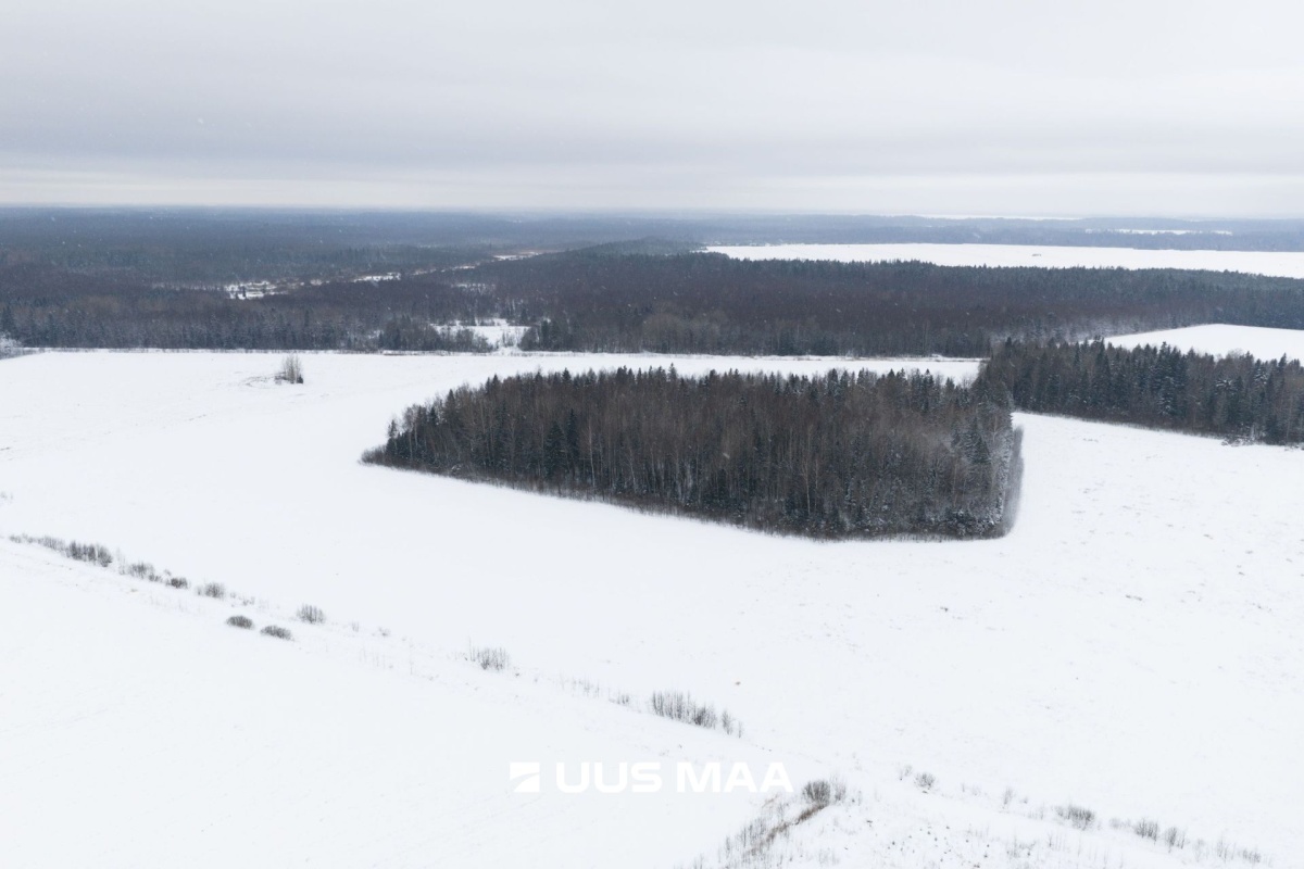 Saue vald, Lehetu küla, Kaliste