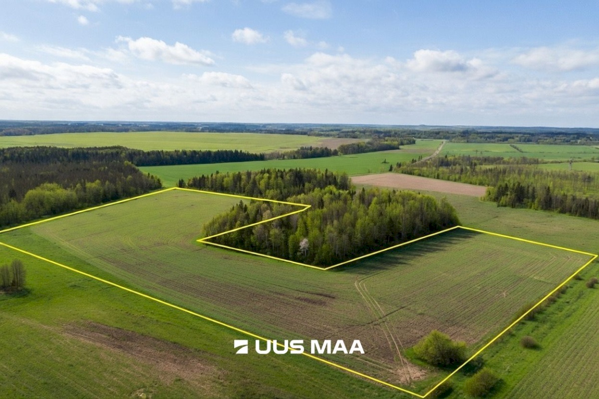 Saue vald, Lehetu küla, Kaliste