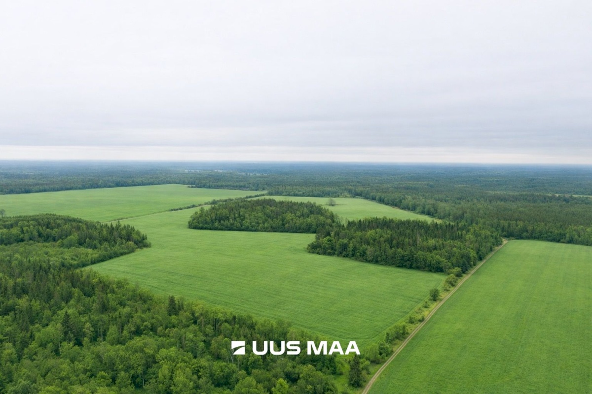 Saue vald, Lehetu küla, Kaliste