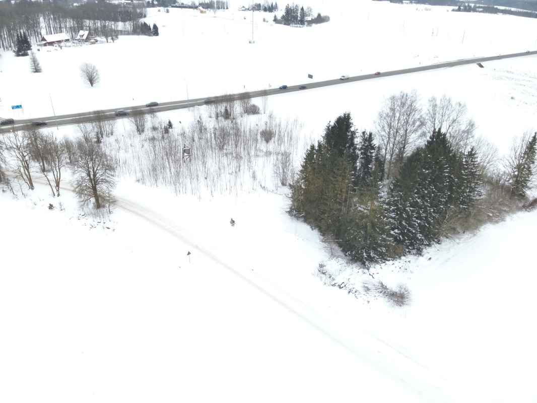 Järva vald, Koigi küla, Risttee