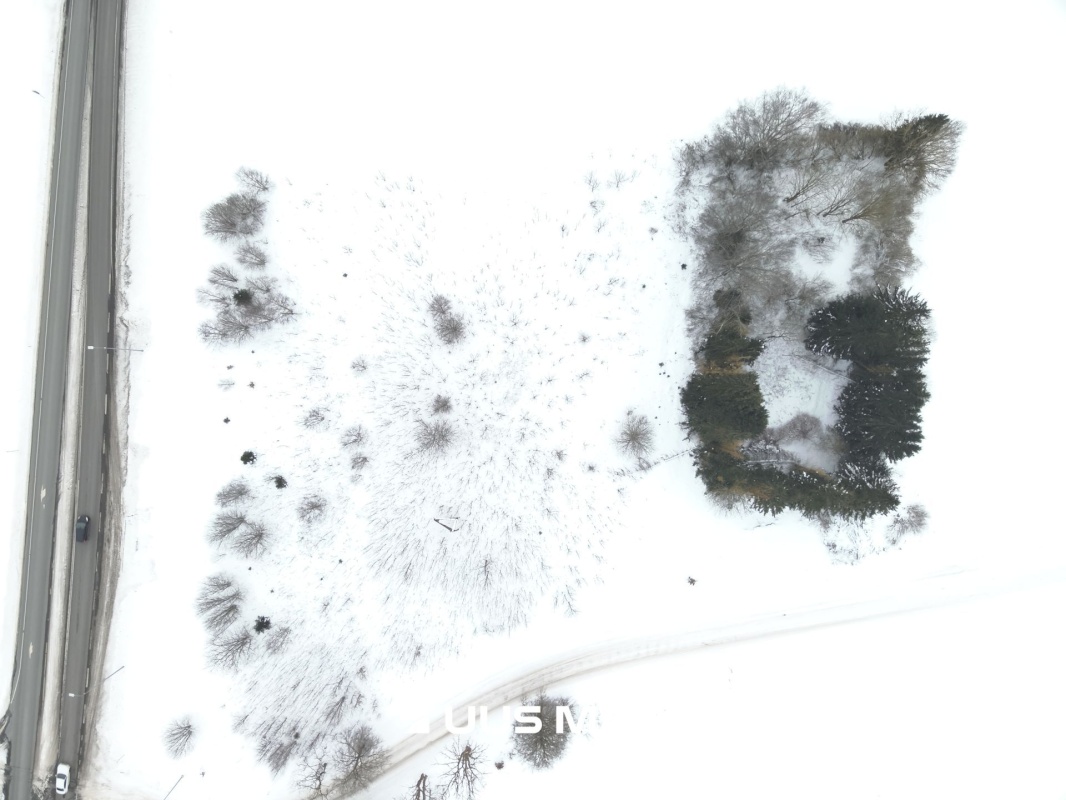 Järva vald, Koigi küla, Risttee