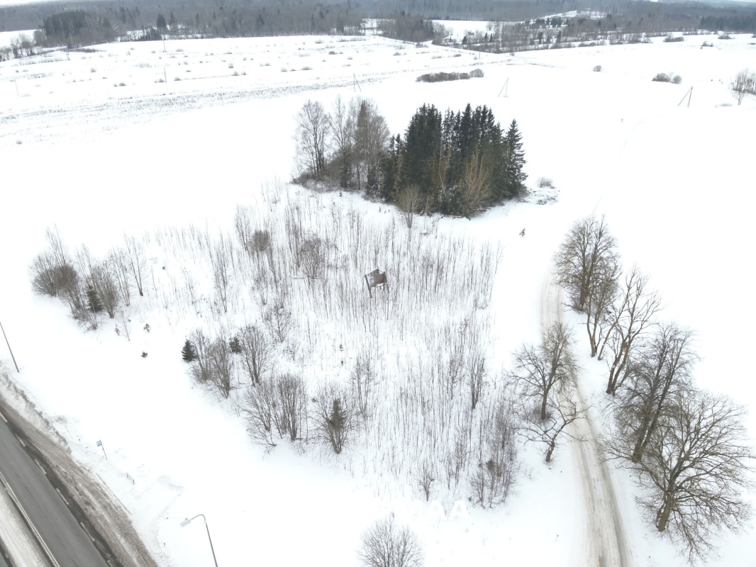 Järva vald, Koigi küla, Risttee