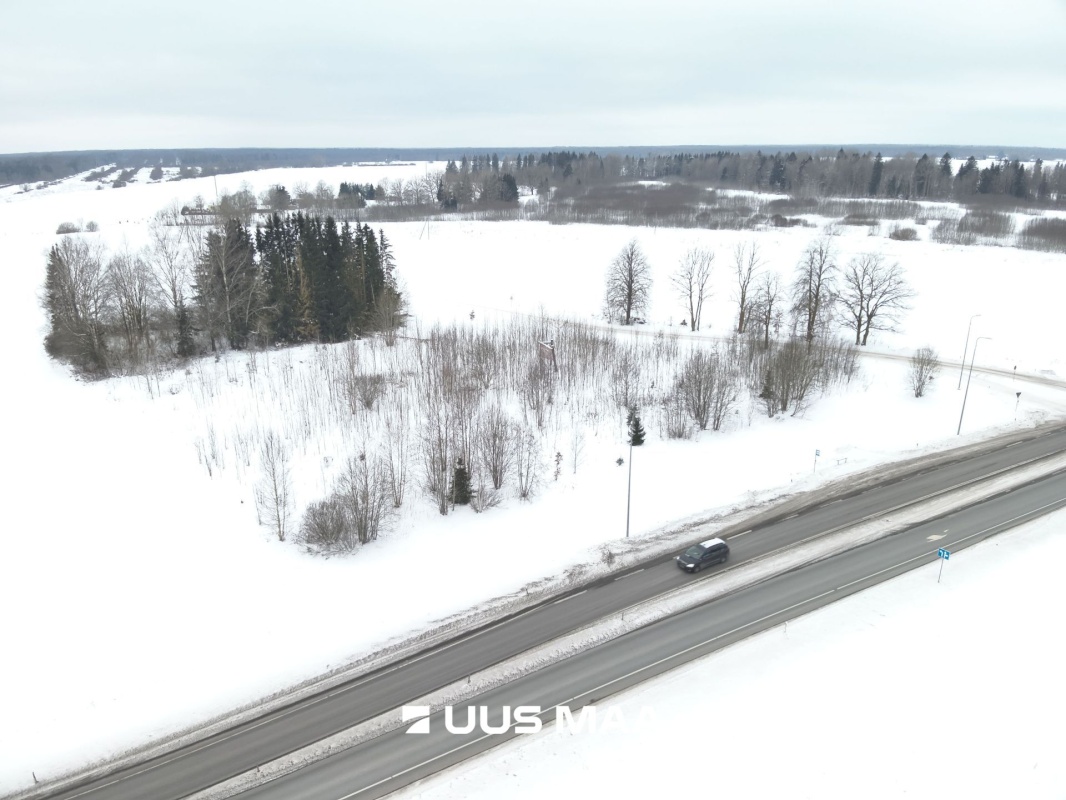 Järva vald, Koigi küla, Risttee